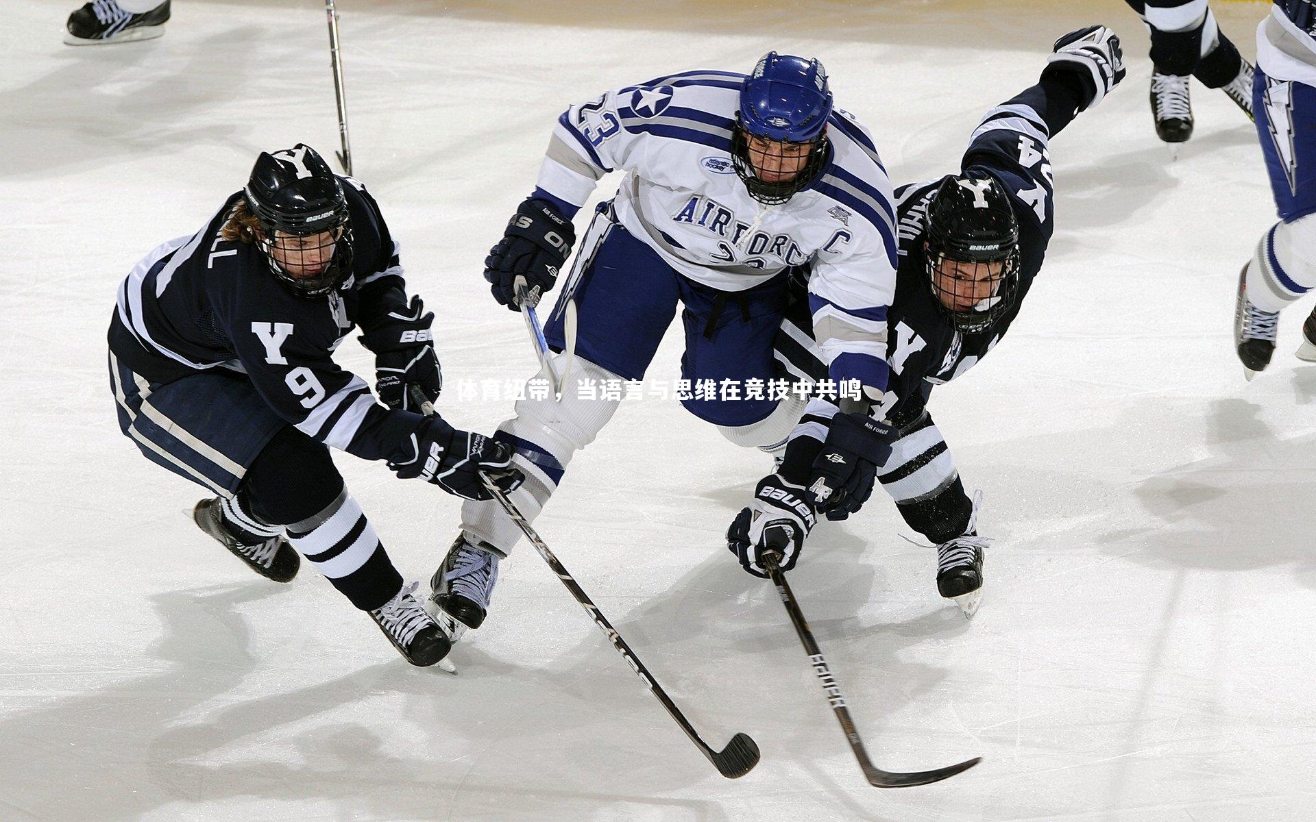 体育纽带，当语言与思维在竞技中共鸣